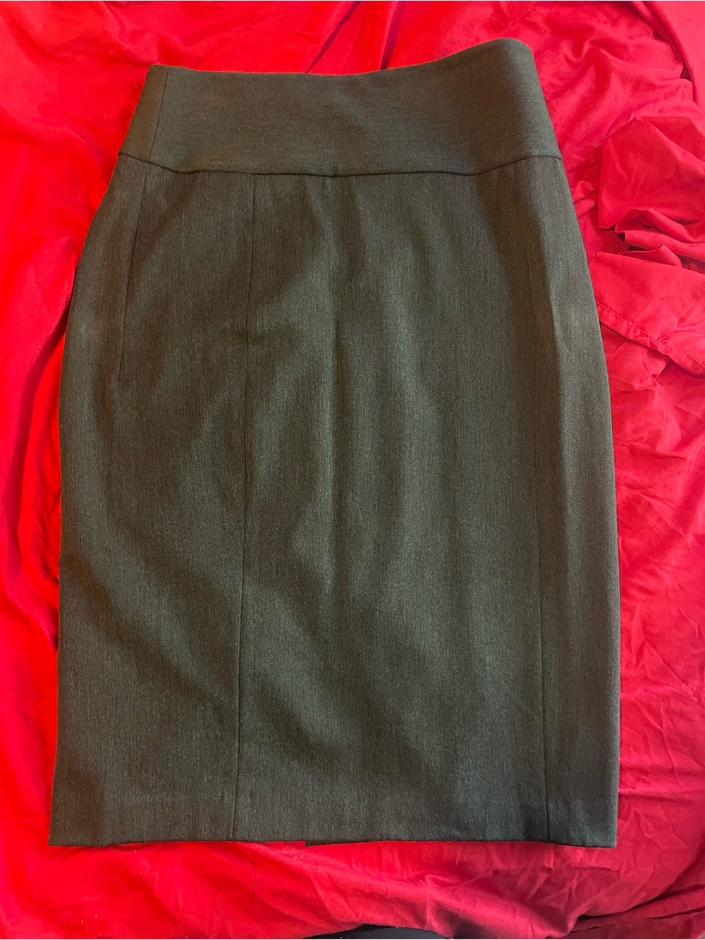 Express Pencil Skirt